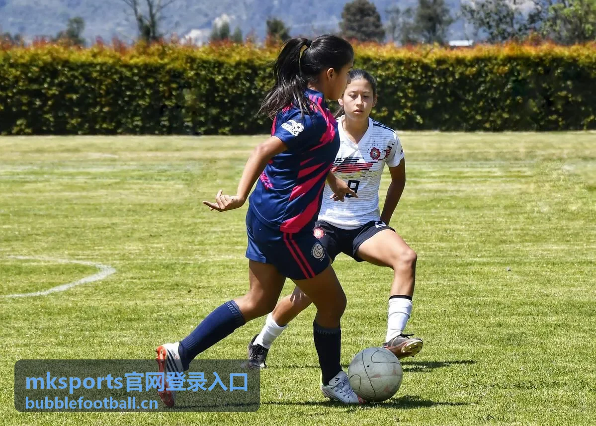 mksports官网登录入口 登录流程演示片段封面